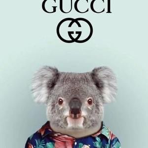 Meet your Posher, Elijah